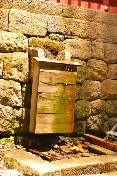 DSC_3836 (Large).JPG